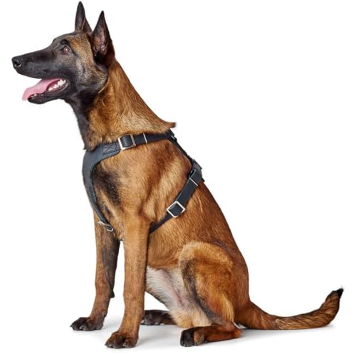 Harnais en Y pour chien HUNTER Aalborg cuir de vachette noir souple durable taille S-M/2