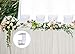 NAVADEAL Table Skirting Clips Tablecloth Clips for Table 1.5