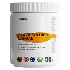 TUNAI Black Soldier Fly Larvae Bsfl |50G| 60X More Calcium Than Meal Worms, 40% Protein Rich Fish Food for Oscar, Arowana, Flowerhorn, Adult Turtle, Tortoise, 1 Count