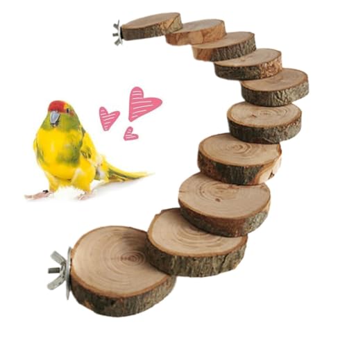 Vogelleiter | Holz Kletterspielzeug fu Wellensittiche | Robuste Holz?Vogelleiter Als Bewegungs? Und Kletterspielzeug ? Fordert A