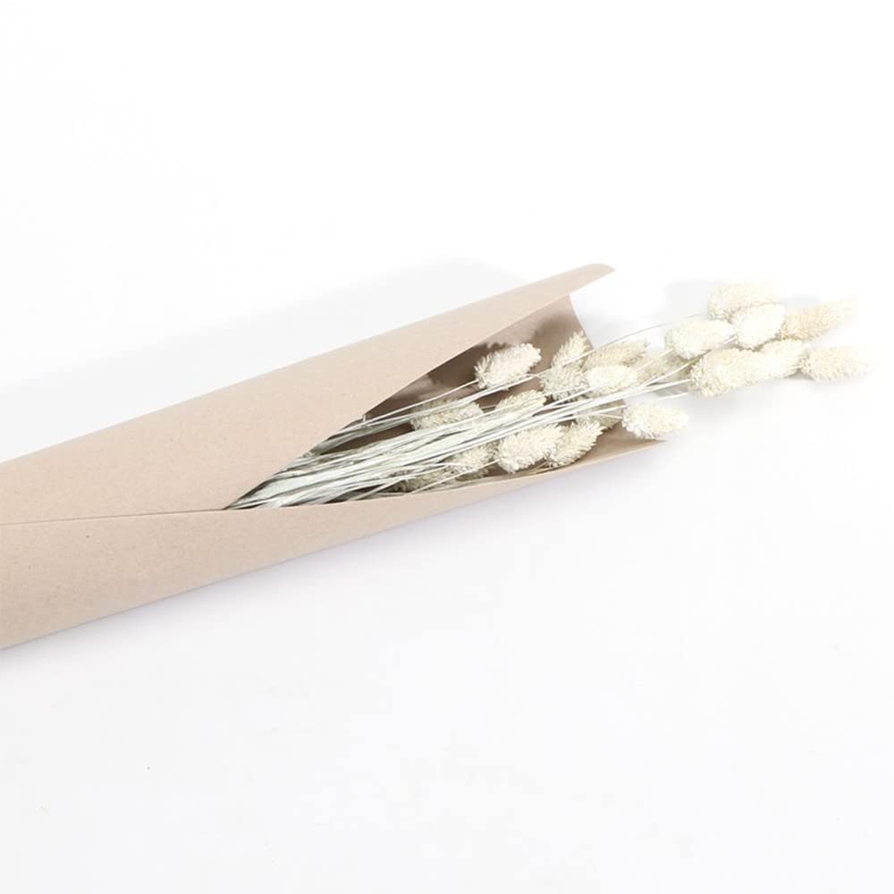 Chaks Bouquet PHALARIS SÉCHÉS Misty 64CM Blanc