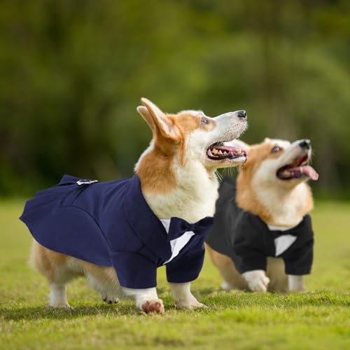 CITÉTOILE Hunde Hochzeit Anzug Set, Smoking Hemd mit Fliege Party Kleidung, Hochzeit Geburtstag Party Halloween Hundeanzug für Kleine Mittlere Große Hunde Katze, Schwarz, L