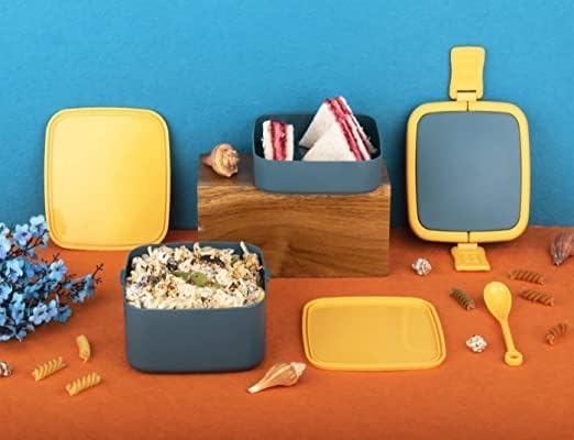 Buy Double Layer Square Lunch Box - 2 Compartment Tiffin with
