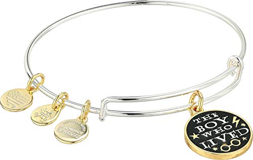 Alex and Ani ���f�B�[�X �n���[�E�|�b�^�[ The Boy Who Lived �o���O�� One Size ���^���b�N