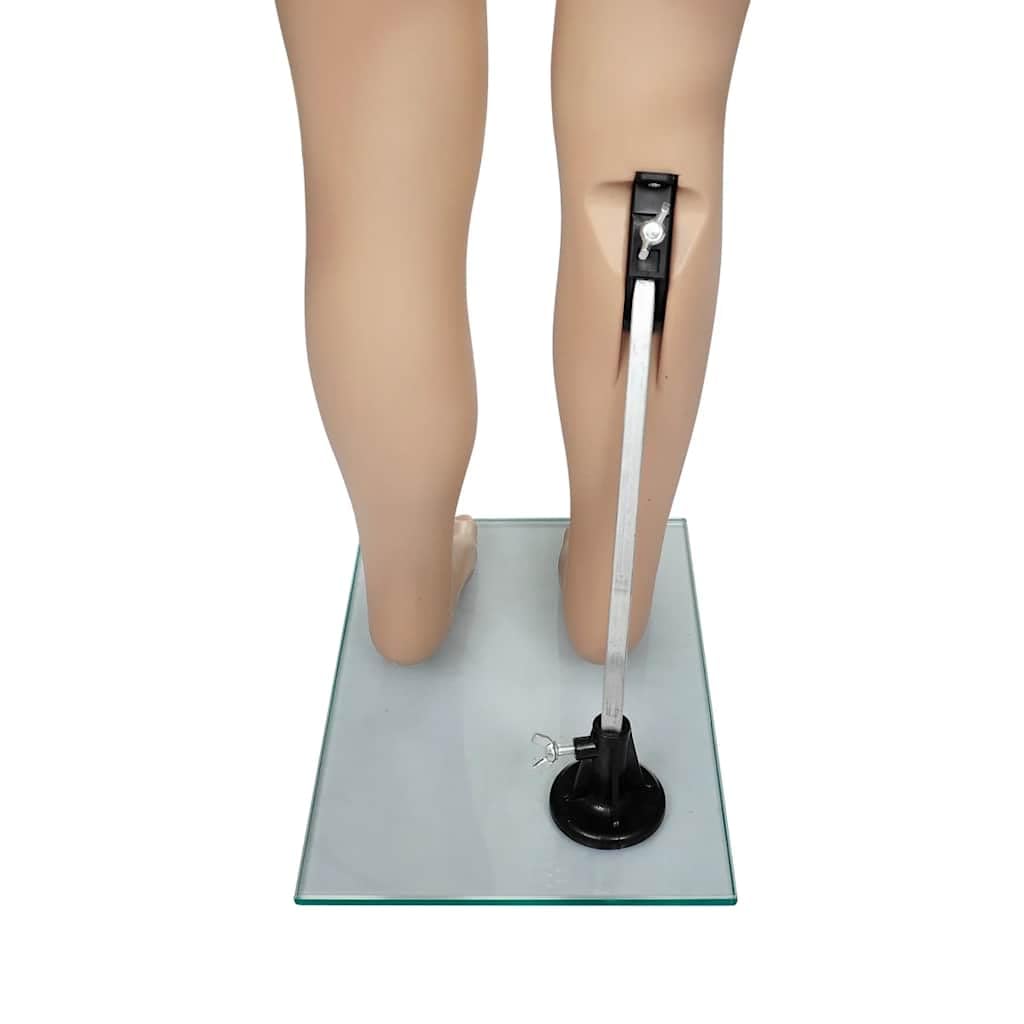 Schaufensterpuppe Kind 110 cm Ganzkörper Kinder-Mannequin beige für Mode Präsentation Kleidung Kinderbekleidung mit Glasplatte