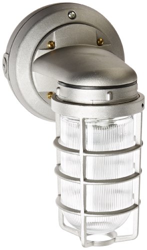 Best Cyber Monday 🔥 RAB Lighting VXBR1F26 Vaporproof Wall Bracket CFL Lamp with Clear Prismatic Glass Globe, Triple Type, Aluminum, 26W Power, 1800 Lumens, 277V, 1/2" Hub, Natural