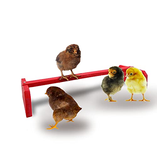 Backyard Barnyard Chicken Roosting Bar Perch For Baby Chicks To Adult Birds. Made In Usa!!! . Poultry Habitat, Brooder, Coops Or Run. Easy-Clean Bird Stand For Chicks, Pollos, Laying Hens. #TOP6
