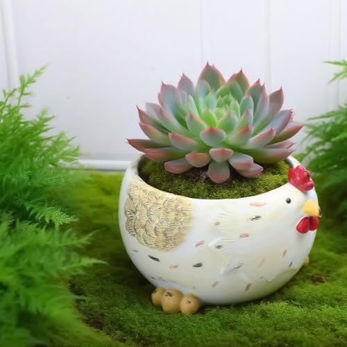 Pot de fleurs résine synthétique décoratif avec trou drainage - 8