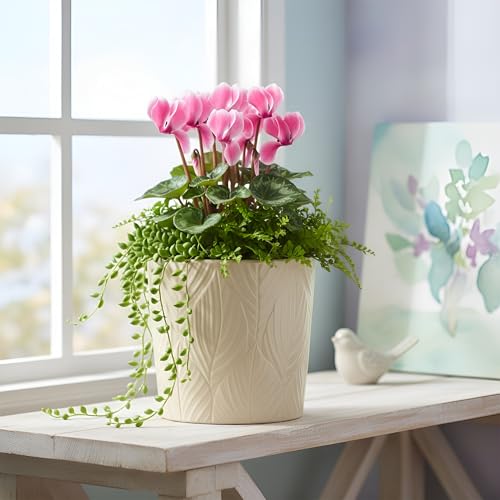 Image of Xtore Graceful Textured Ceramic Planter Pot for Indoor Plants | Nature-Inspired Leaf Pattern Flower Pot for Home, Office Desk & Balcony Decor (Beige - Planter only)