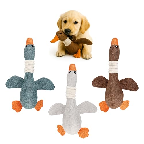 Funfy Set 3 peluche papera per cani piccoli e medi – gioco cane papera che suona con effetto crinkle, sonaglio e plastica – peluche da mordere per gioco interattivo
