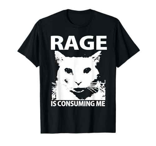 Rage is Consuming Me Shirt - Maglietta Cat Meme Silly Staring - Unisex - Grigio Cenere - S
