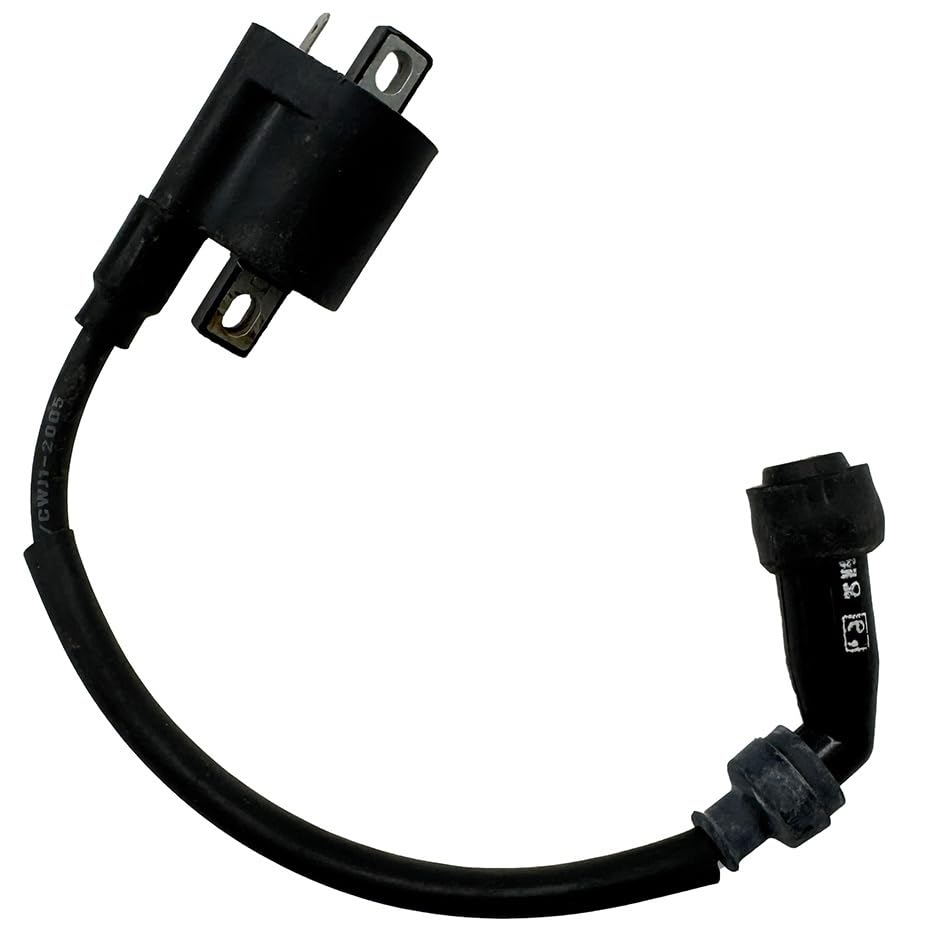 Bobina de encendido 250cc FG-802000-0 para quad B-ja ATV-5 y JS250