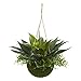 Nearly Natural Agave and Maiden Hair Artificial Hanging Basket (Indoor/Outdoor) Silk Plants Green