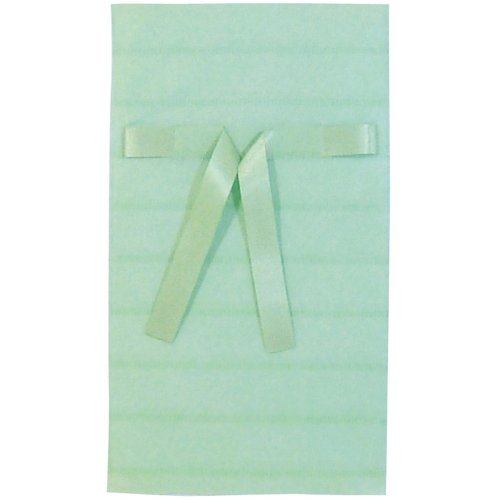 カクケイ 不織布リボン付巾着袋 10枚パック FHR04 グリーンS