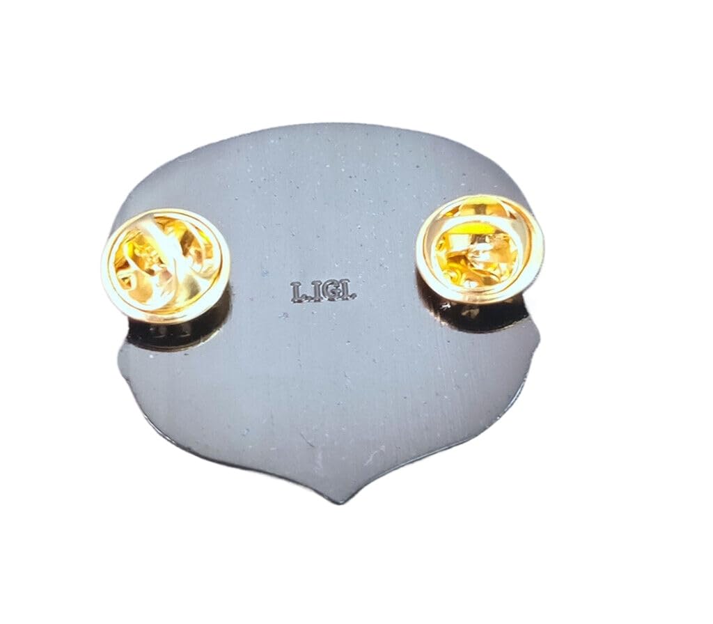 Reproduction USAF AFSOC AIR FORCE SPECIAL OPERATIONS PJ PARARESCUE BERET BADGE silver gray