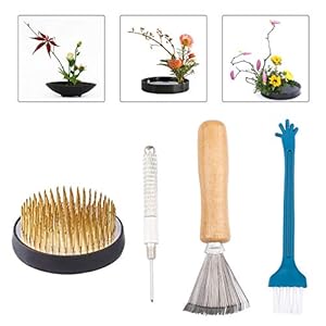 WANDIC Ikebana Blumen-Frosch Set, 4-teilig
