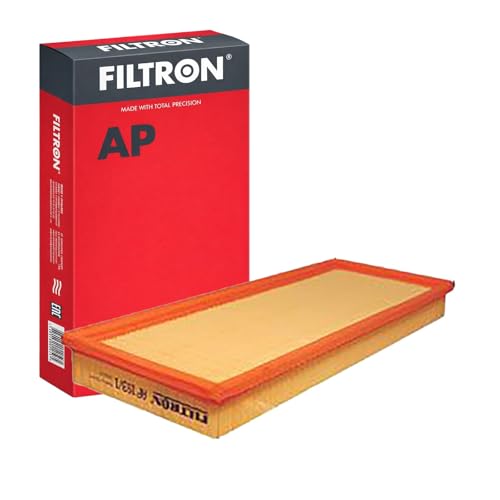 Filtron Filtre Ă air, ap193/1