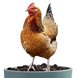 Gallinero Art - Estatua de gallina acrílica 2D para decoración de patio, patio y jardín