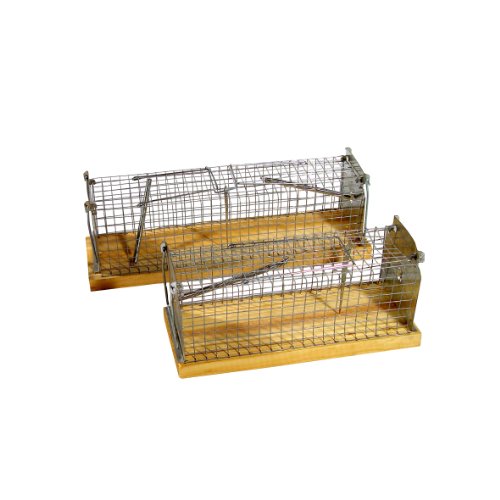 Xclou 393267 Drahtkasten-Wieselfalle 100 x 100 x 380