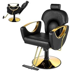 Barber Salon Chair for Hair Stylist, Hair Salon Chair with Heavy Duty Hydraulic PUM, Multi-Function Shampoo Chair Beauty Salon Equipment (Black)