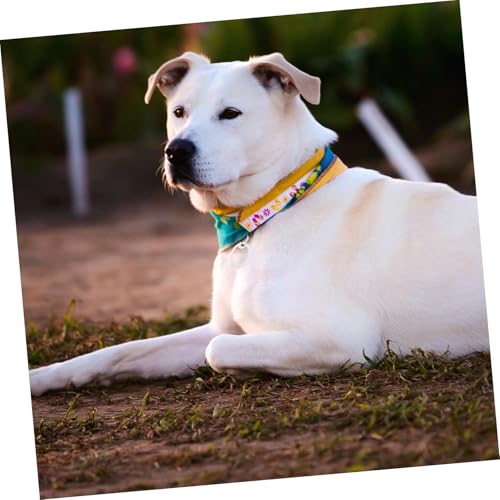 FUTUREORYY 6 Stück Schutzhüllen für Hundemarken Geräuschdämpfend Leuchtend im Dunkeln Kratzfest Leicht für Hunde und Katzen Schallabsorbierender Schlüsselanhänger Schutz
