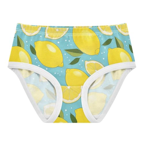 Wusikd Lemon Girls' Underwear Cotton Slices Mint Girls Briefs Soft Toddler Underwear 2T