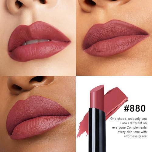Image of evpct Maroon Velvet Matte Lipstick, High Pigmented Slim Lipstick Long Lasting Waterproof for Women Gift, Velvet Silky Lip Stick Stain Color Makeup Blendable 24 Hours Original Makeup Labiales, 880#