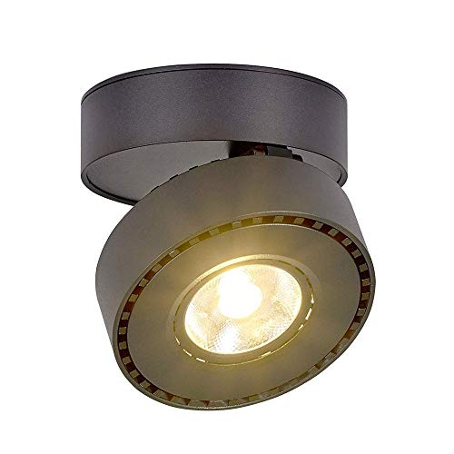 Aménagement de plafond avec ce downlight encastré orientable pour salon sombre