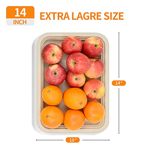 Celel 50 Pack 14 Inch Disposable Food Trays For Party thumb #1