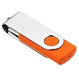 1GB USB Flash Drive 1PCS, EASTBULL USB 2.0 Thumb Drive Swivel USB Stick Memory Stick Metal Thumb Drive (Orange)
