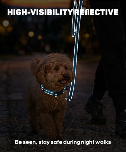 TagME Nylon Hundehalsband, Verstellbares Reflektierendes Hundehalsband mit Sicherheitsschnalle für Kleiner Hund, Grau, 2.0cm Breite