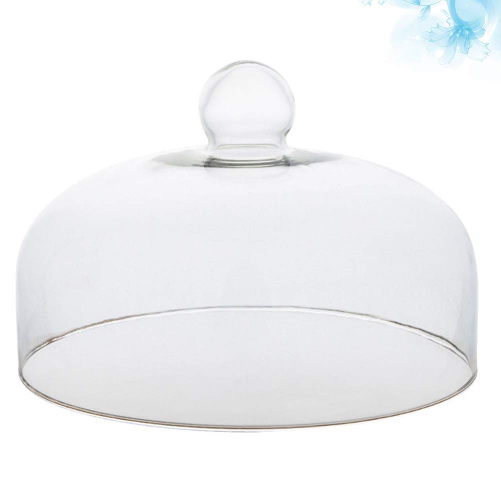 HEMOTON Cloche en Verre Transparente - 21 x 21 cm - Cloche à gâteau - Cloche à Fruits - pour Pique-, Camping, Noël, Nouvel an, fête