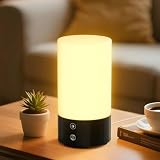 Bakzon Light Therapy Lamp