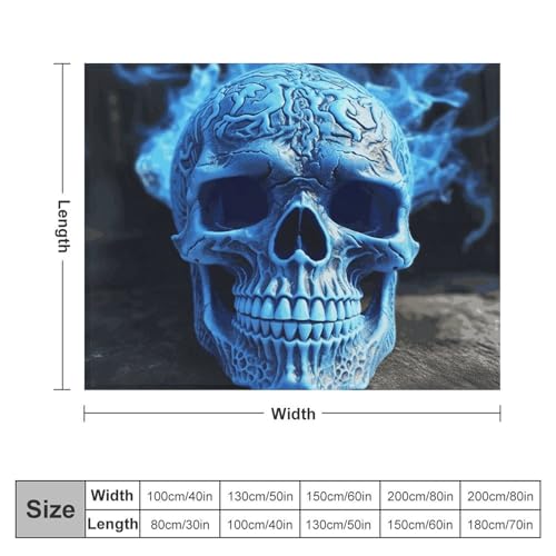Couverture micro polaire tête de mort bleue 178x203cm grande taille - 3