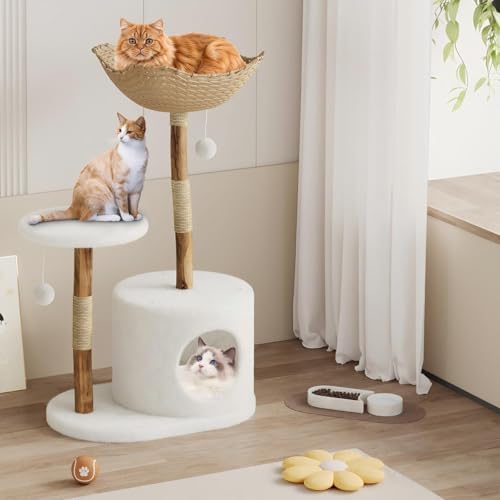 Árbol para gatos moderno de madera natural 24.41 in miniatura 7