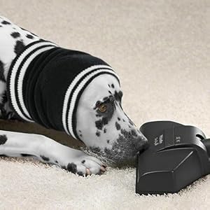 Iecoii dog calming hoodie head coverquiet ears for dogs noise protectionquiet dog headband soft dog ear wrap for anxiety reliefdog noise cancelling ear muffs for small dog and catsblack s   cucciolini doodles