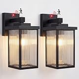 hameso 2 Pack Lights
