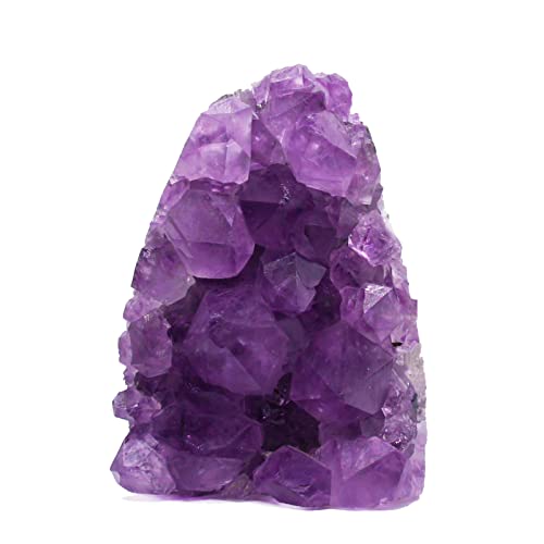 [TANAKAEYA] AWXg NX^[ ӂ VR I ? 30-55mm d30-80g  򉻗p   J^ u