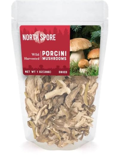 North Spore Champiñones Porcini secos silvestres