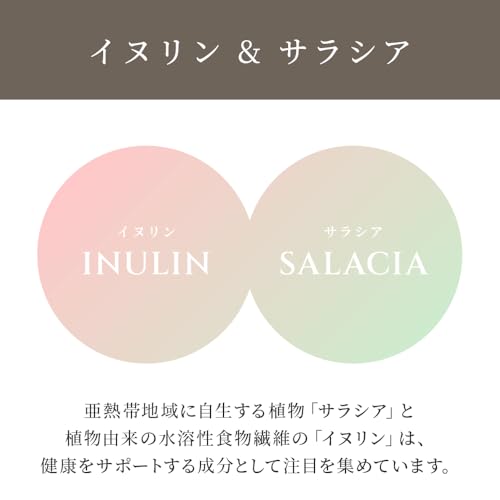 eume イウミー プロテイン ホエイ ヘンプ フィッシュコラーゲン ほうじ茶 マッチャイ MATCHAI HOJICHA PROTEIN の商品画像 5