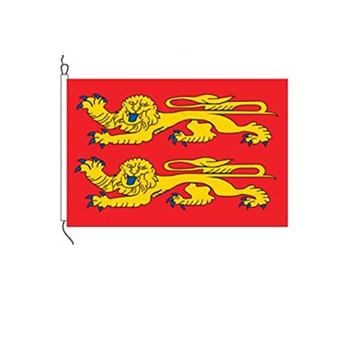 Stormflag Drapeaux Normandie 50x75cm Drapeau Basse-Normandie en polyester 90g avec œillets et Double couture