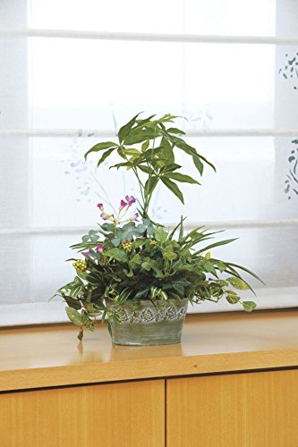 Amazon｜光触媒 人工観葉植物 光の楽園 寄せ植えパキラ 239B70｜人工