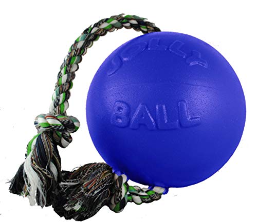 Jolly Pets Romp-n-Roll Rope and Ball Dog Toy 8 Inches/Large Blue Model:608 BL