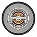 DriveFix Coolant Thermostat for Ford F150 F250 F350 E150 E250 E350 Excursion Expedition Explorer Mustang Crown Victoria Lincoln Navigator Town Car Mercury Grand Marquis Mountaineer 4.6 5.4 6.2 6.8