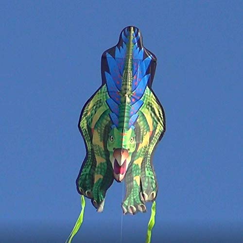 Windnsun Dinosoars Stegosaurus Rip-Stop Nylon Kite, 49 Inches Tall #TOP5