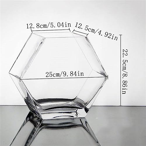 Aquarium pour poisson de combat en verre hexagonal de grande taille robuste - 3