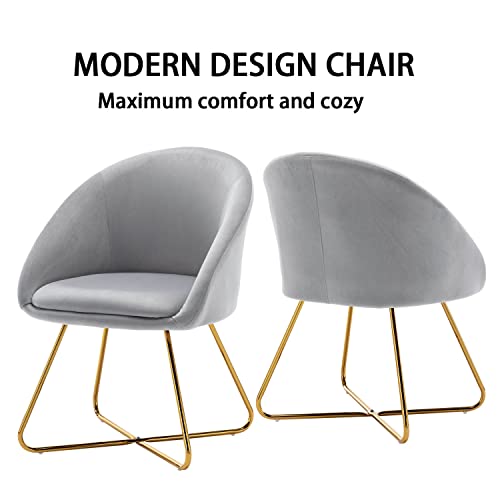 Altrobene Mid-Century Accent Chairs Set Of 2, Velvet Dinging Chair, Living Room Bedroom Chair Set, Golden Finished, Grey #TOP3