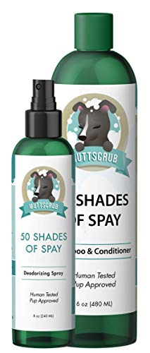 Pawsitively Soothing All Natural Healing Lotion for Dogs – Stops Itching, Redness, and Irritation Pawsitively Soothing All Natural Healing Lotion for Dogs – Stops Itching, Redness, and Irritation