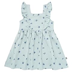 Light Sky Blueberries