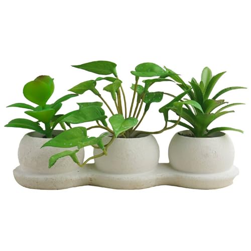 Airbirhom Artificial Succulents Plants Set,Faux Succulents in Pots,Assorted Small Succulent Artificial Indoor Decor for Desk,Shelf,Home,Office,Bathroom,Living Room - Cosy Home Interiors Airbirhom Artificial Succulents Plants Set,Faux Succulents in Pots,Assorted Small Succulent Artificial Indoor Decor for Desk,Shelf,Home,Office,Bathroom,Living Room